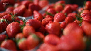 Pestizid-Rückstände in Erdbeeren: Bundesinstitut gibt Entwarnung