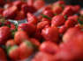 Pestizid-Rückstände in Erdbeeren: Bundesinstitut gibt Entwarnung
