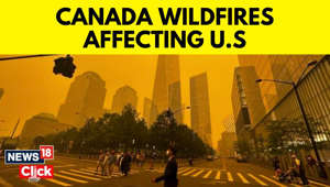 Canada Battles Hundreds Of Wildfires As Smoke Still Chokes Major Cities | Canada Wildfire | News18