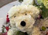 Puppies or poppies: Customer’s hilarious mix-up at florist