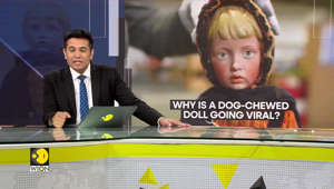 Why is a dog-chewed doll going viral?