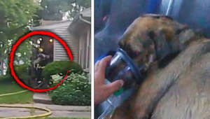A Real-Time Look at How a Dog Was Saved From a House Fire