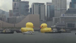 Two giant inflatable ducks have made a splash in Hong Kong’s Victoria Harbour, marking the return of a pop-art project that sparked a frenzy in the city a decade ago.