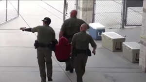 HCSO conducts active shooter training at Lithia high school