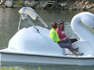 Swan paddle boats coming to Algoma