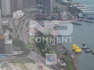 Os patos amarelos gigantes estão de regresso a Hong Kong