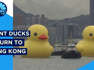 Two Giant Inflatable Ducks Returns To Hong Kong After 10 Years | Watch | Digital | CNBC TV18