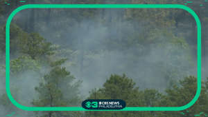 New Jersey Forest Fire Service responding to wildfire in Burlington County
