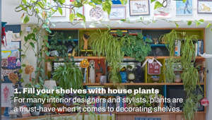 Decorating With Plants I Homes & Gardens