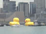 Giant inflatable ducks make a splash in Hong Kong