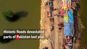 Disasters Emergency Committee - Pakistan floods report