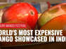 Siliguri Mango Festival: West Bengal Farmers Grow World's Most Expensive Mango, It Is Priced At..