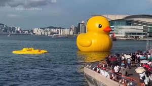 Giant inflatable duck deflates in Hong Kong harbor