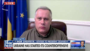 Ukrainian commanders are in a 'positive mood' as counteroffensive underway: Ihor Zhovkva