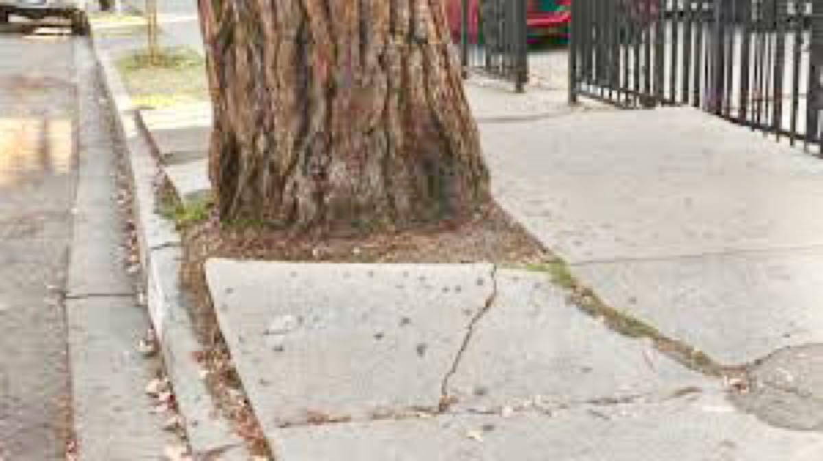 san-diego-wants-homeowners-to-pay-for-sidewalk-repairs-university