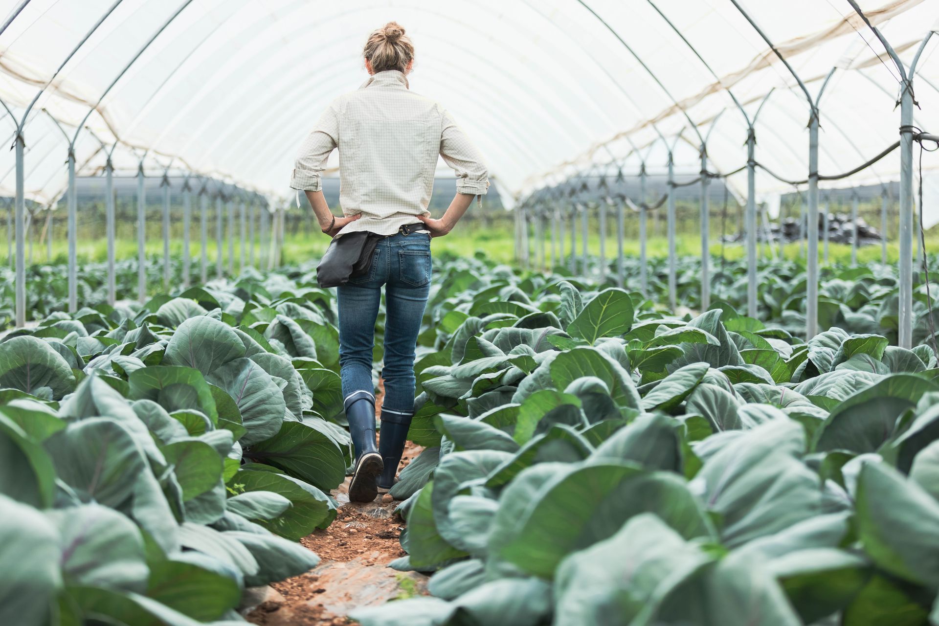 Changement Climatique Les Les Plus Riches Polluent Autant De Co