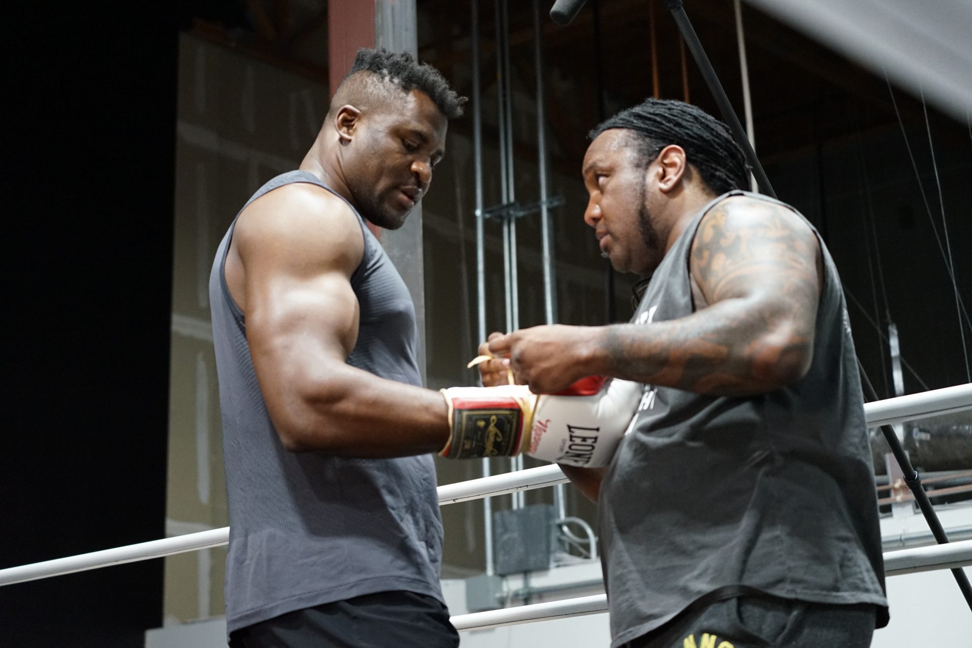 Francis Ngannou Is The New Heavyweight Champion Of The World Surely