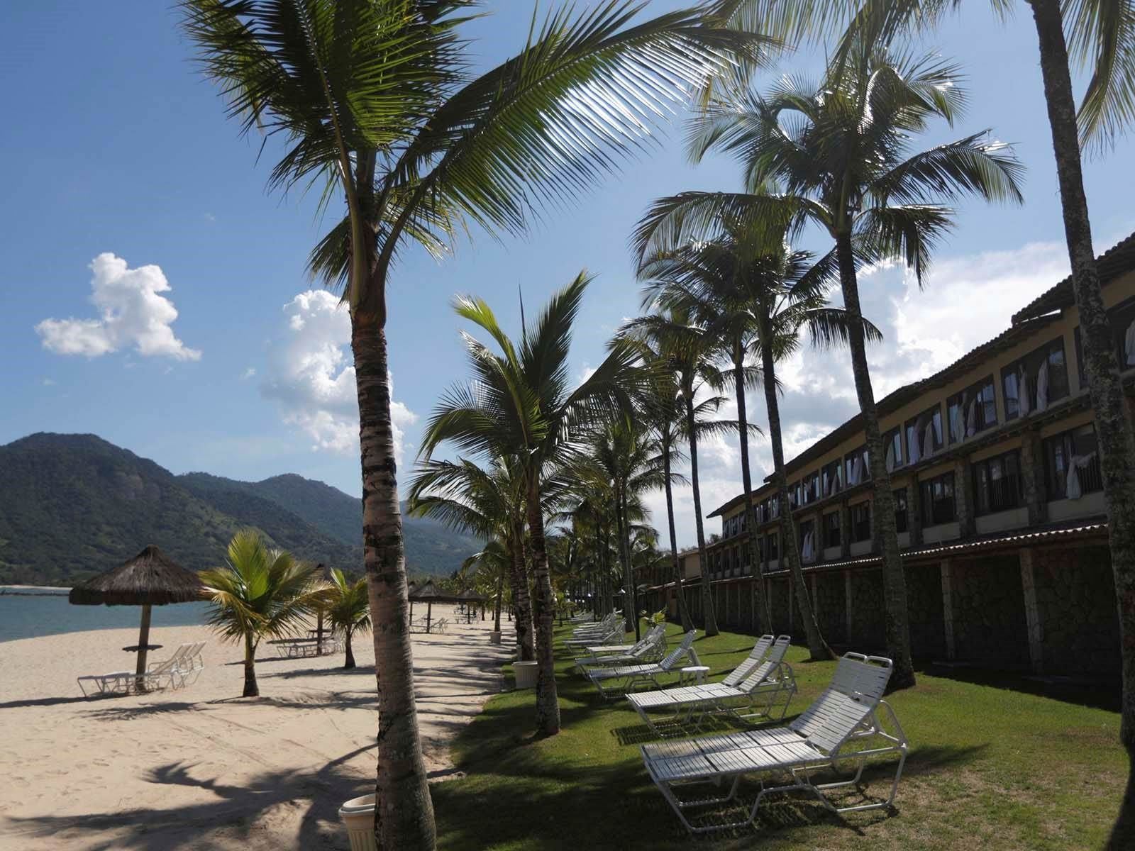 ����� ������� �����