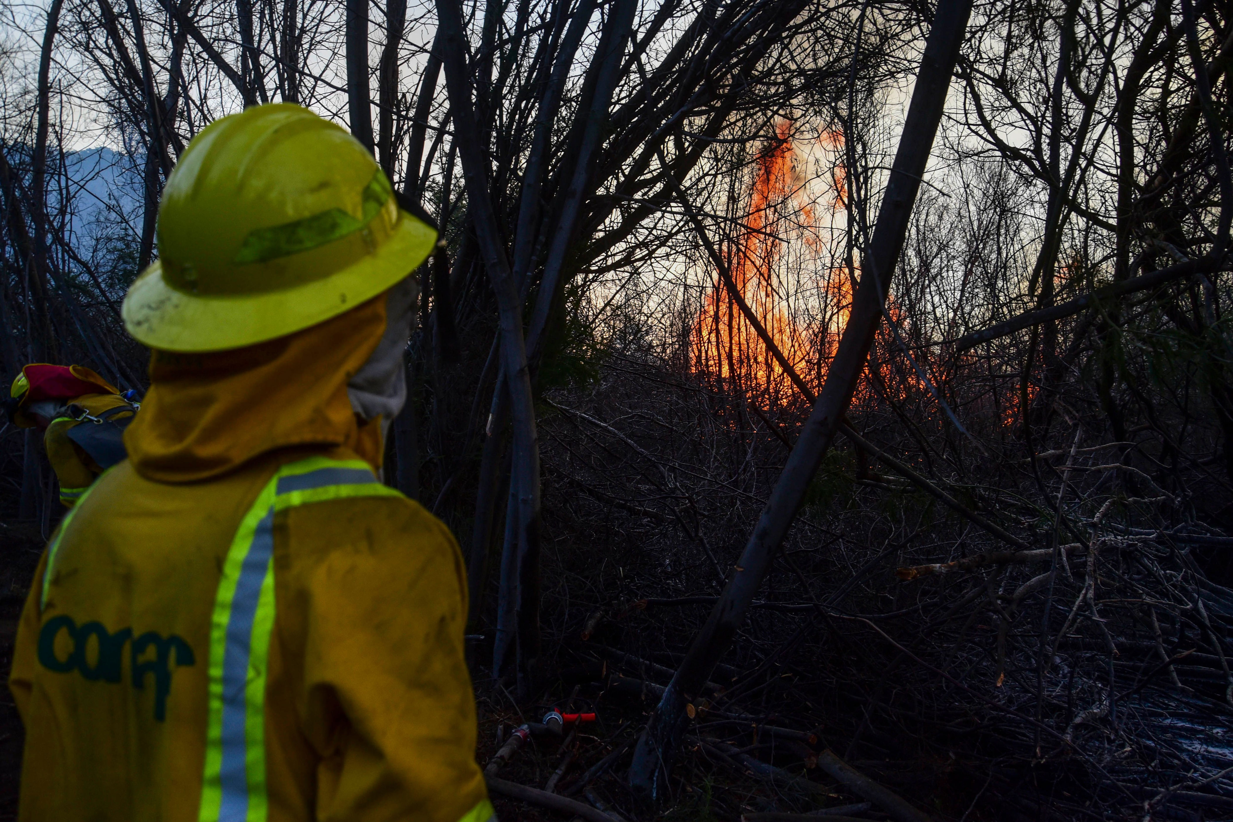 Incendio Forestal En Mar A Pinto Brigadistas Mantienen Labores De