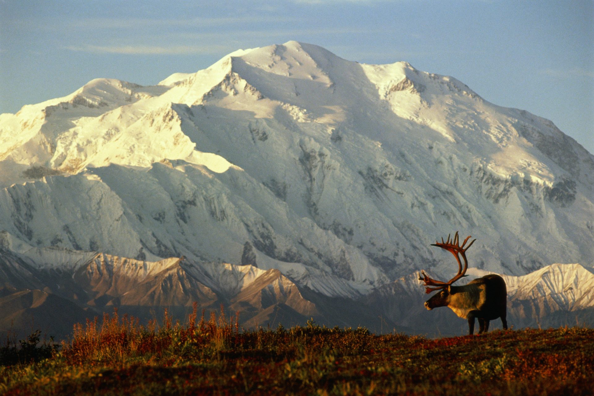 Fordert Russland Alaska Zur Ck Das G Ltige Gesch Ft Von