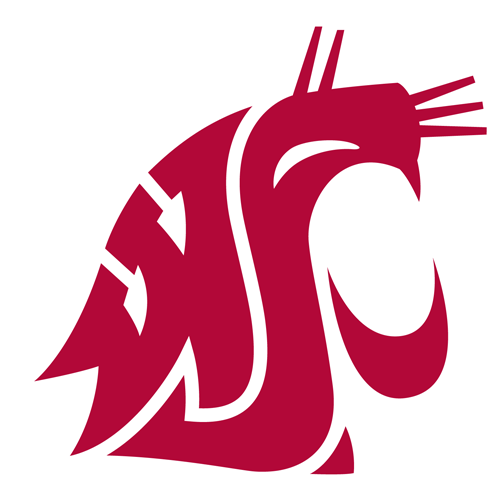 Washington State Logo