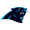 Carolina Panthers Logo