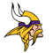 Minnesota Vikings