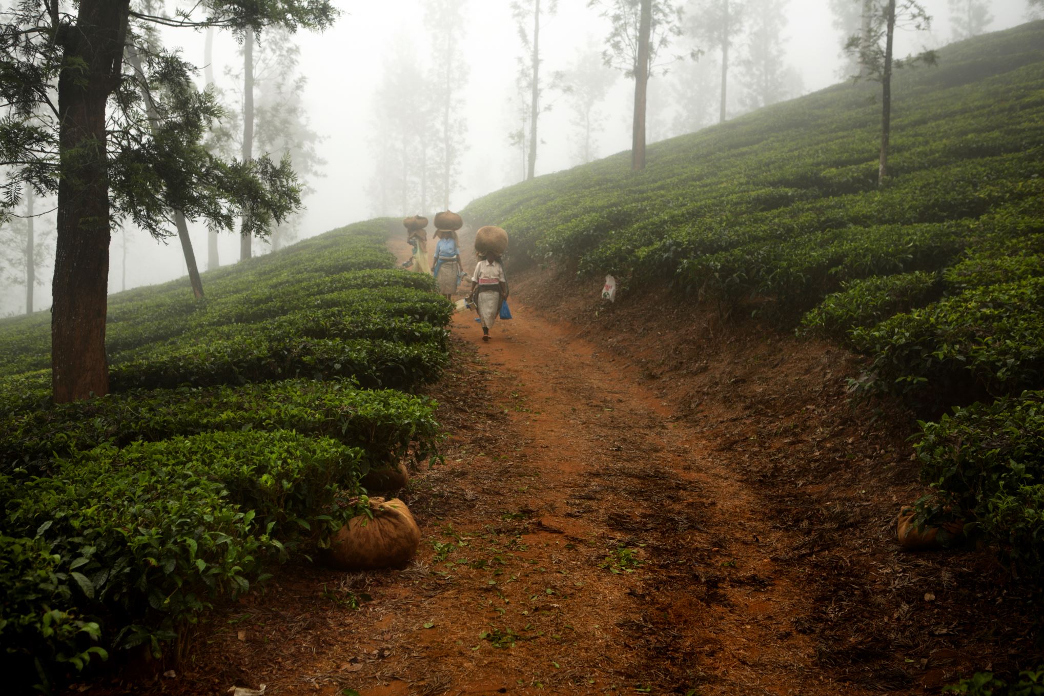 pocket friendly experiences hills!