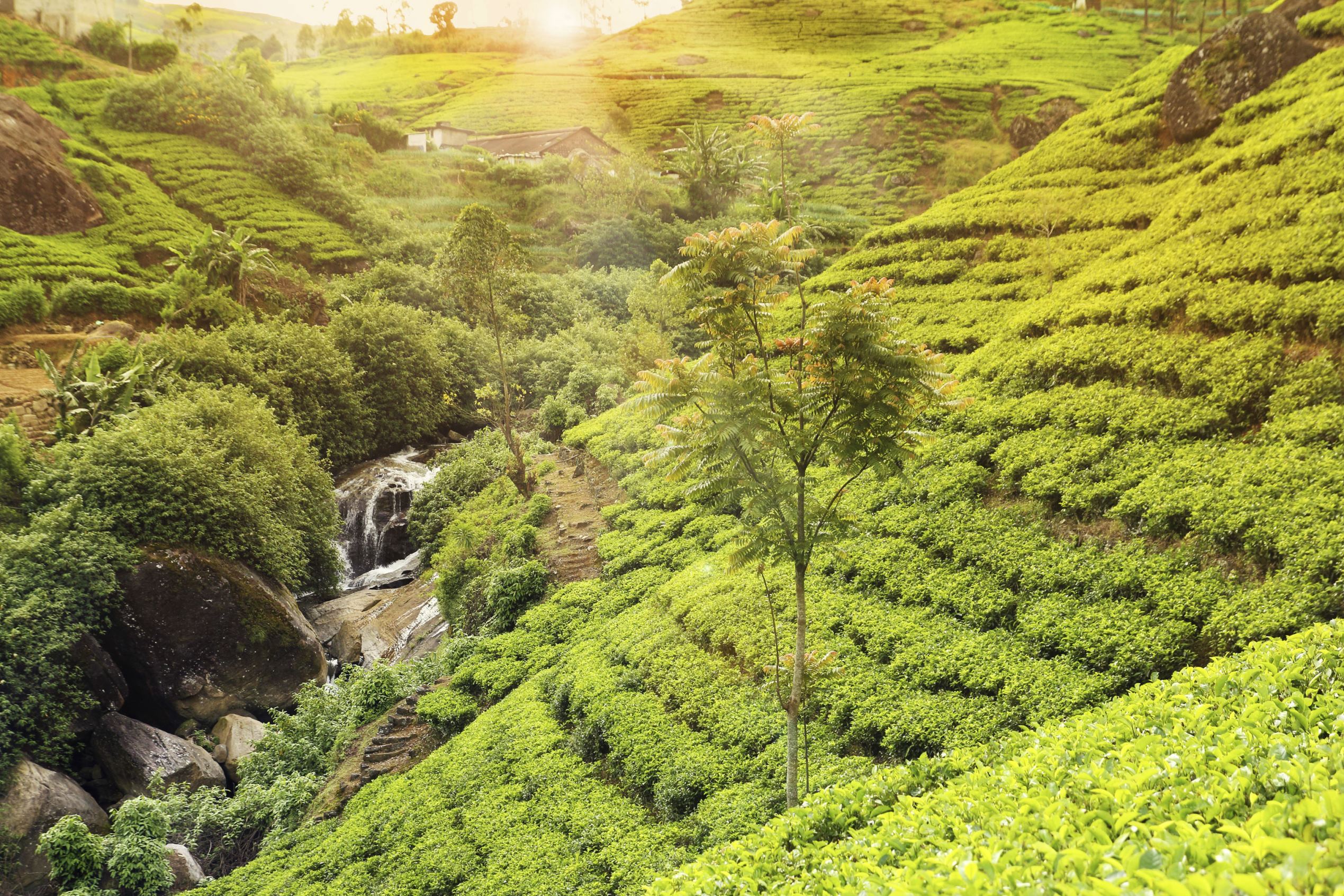 perfect destinations India couples