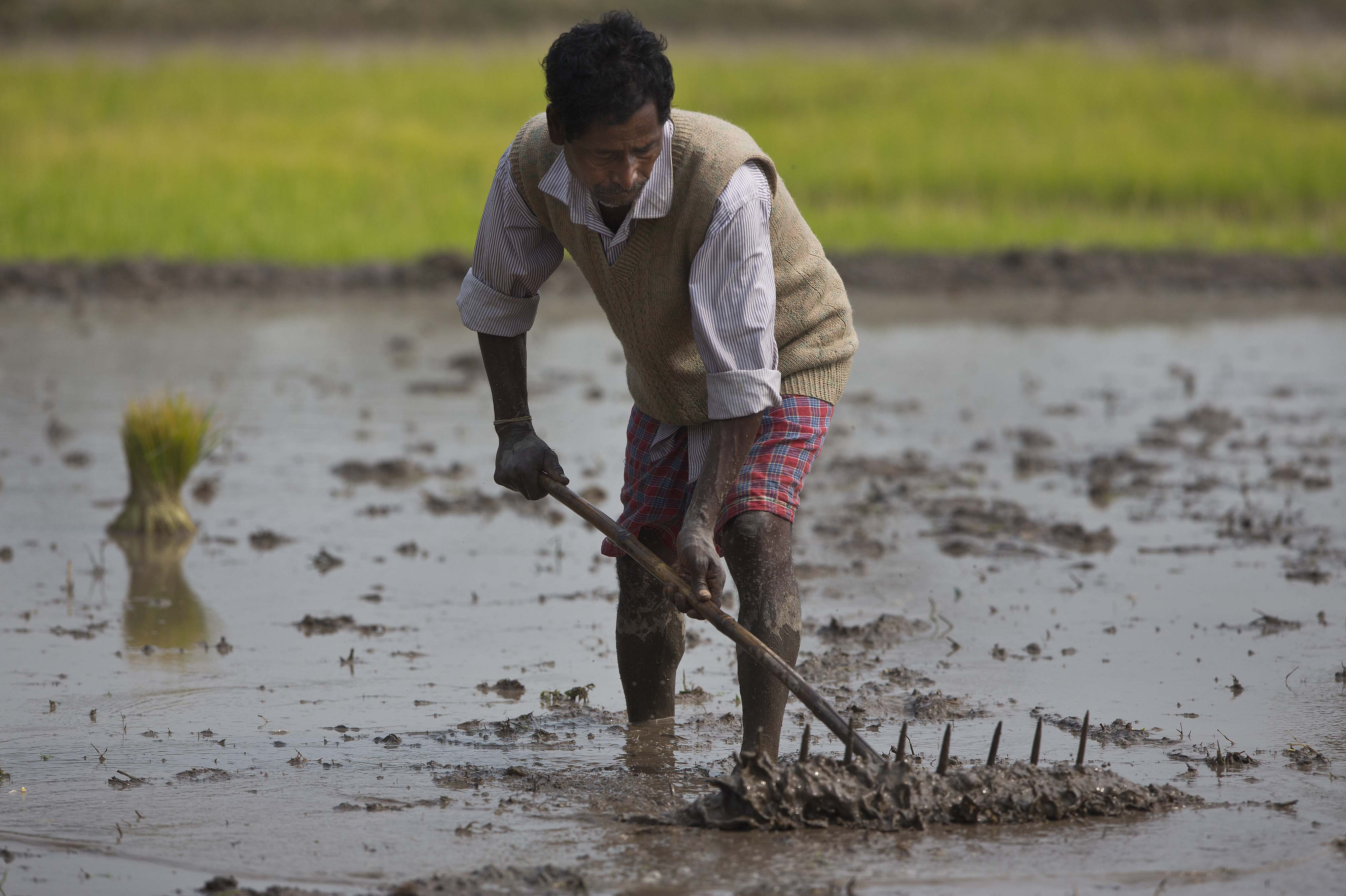 Maharashtra: three months, farmers committed