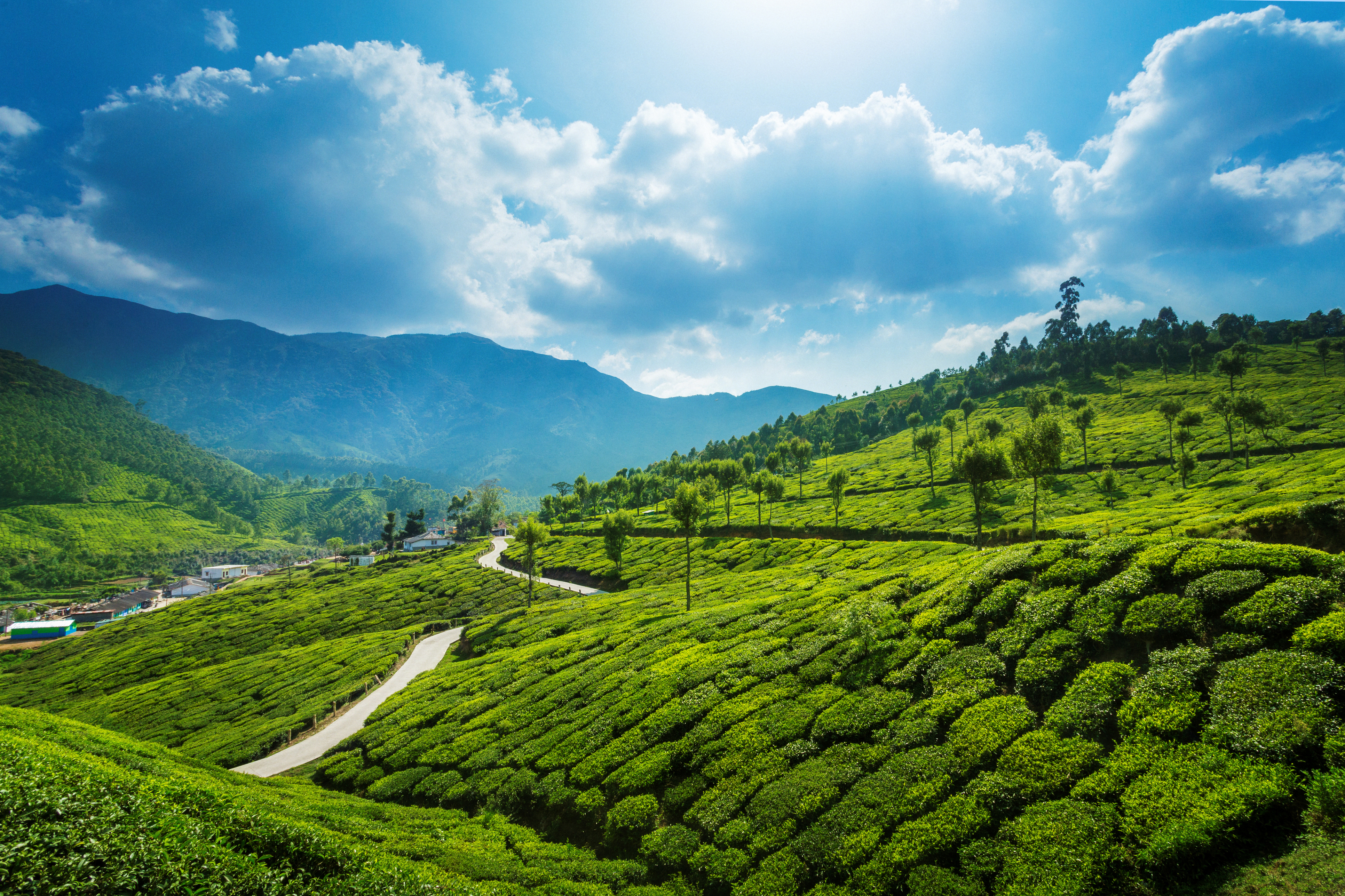 India's most beautiful cycling routes