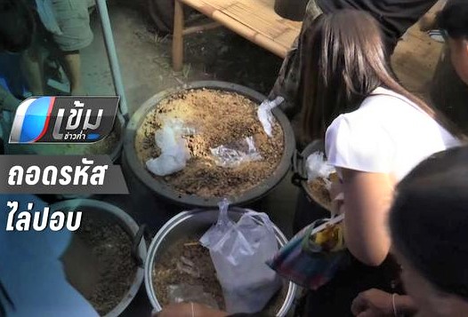 นักวิจัยถอดรหัส 'ไล่ปอบ' ที่เปลี่ยนไป