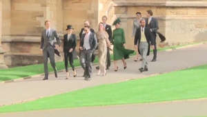 a group of baseball players that are standing in the grass: Pippa Middleton and James Matthews arrive at Eugenie's wedding