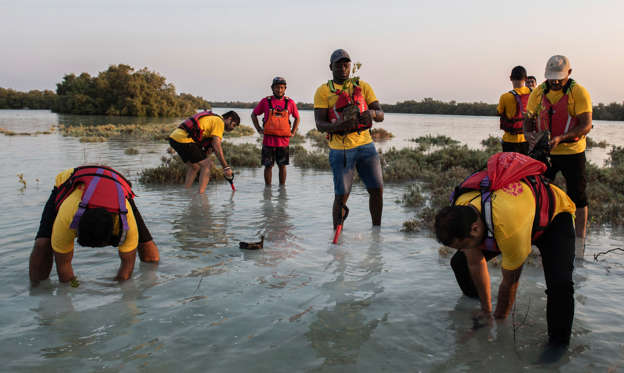 As the UAE renews its commitment to strengthening the country's position as one of the world's most popular ecotourism destinations, people take part in a mangrove-planting event organised by Companies for Good on Jubail Island, Abu Dhabi. All photos: Vidhyaa Chandramohan