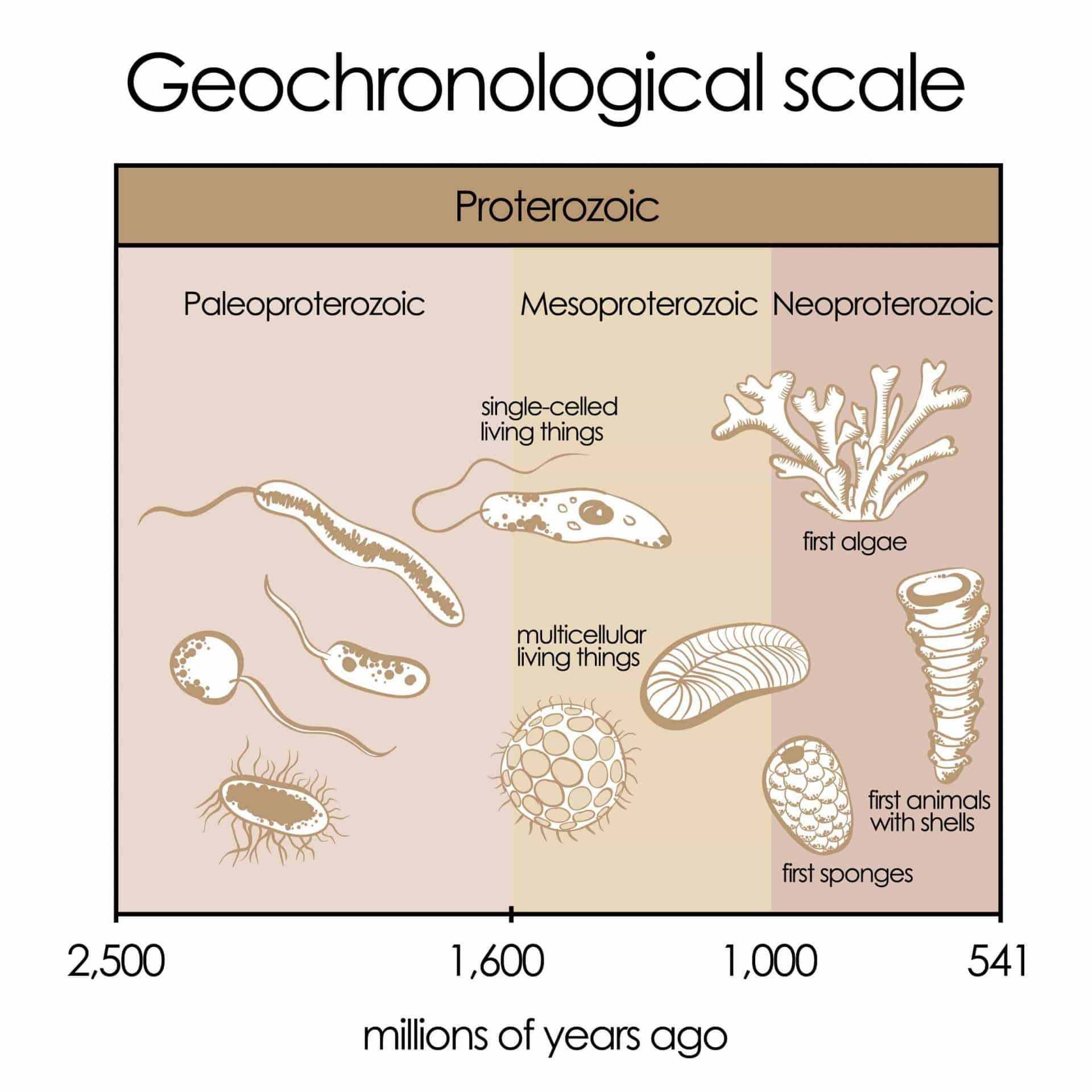 The History Of Mass Extinction Events On Earth