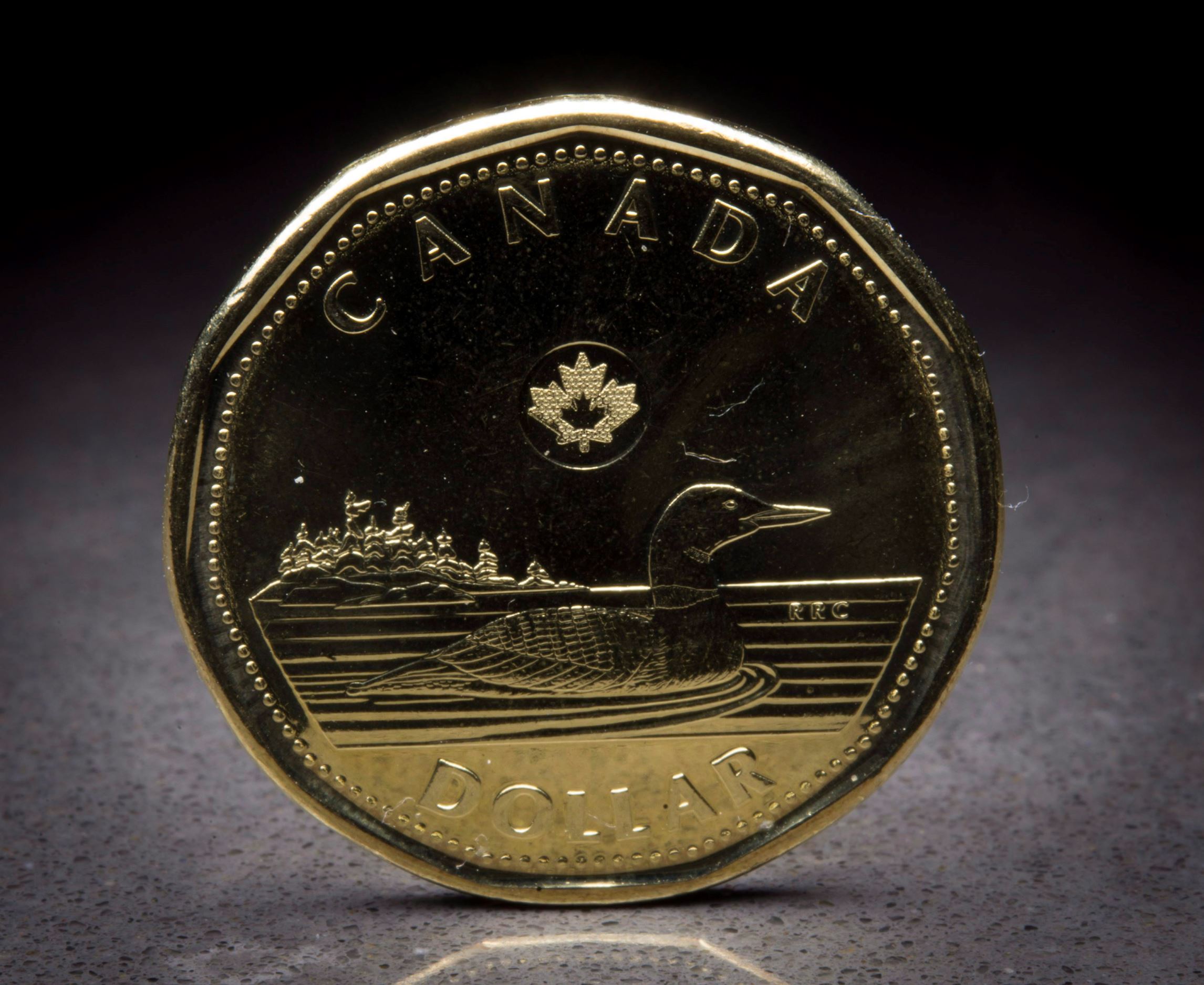 Will Bitcoin replace loonie? Don't