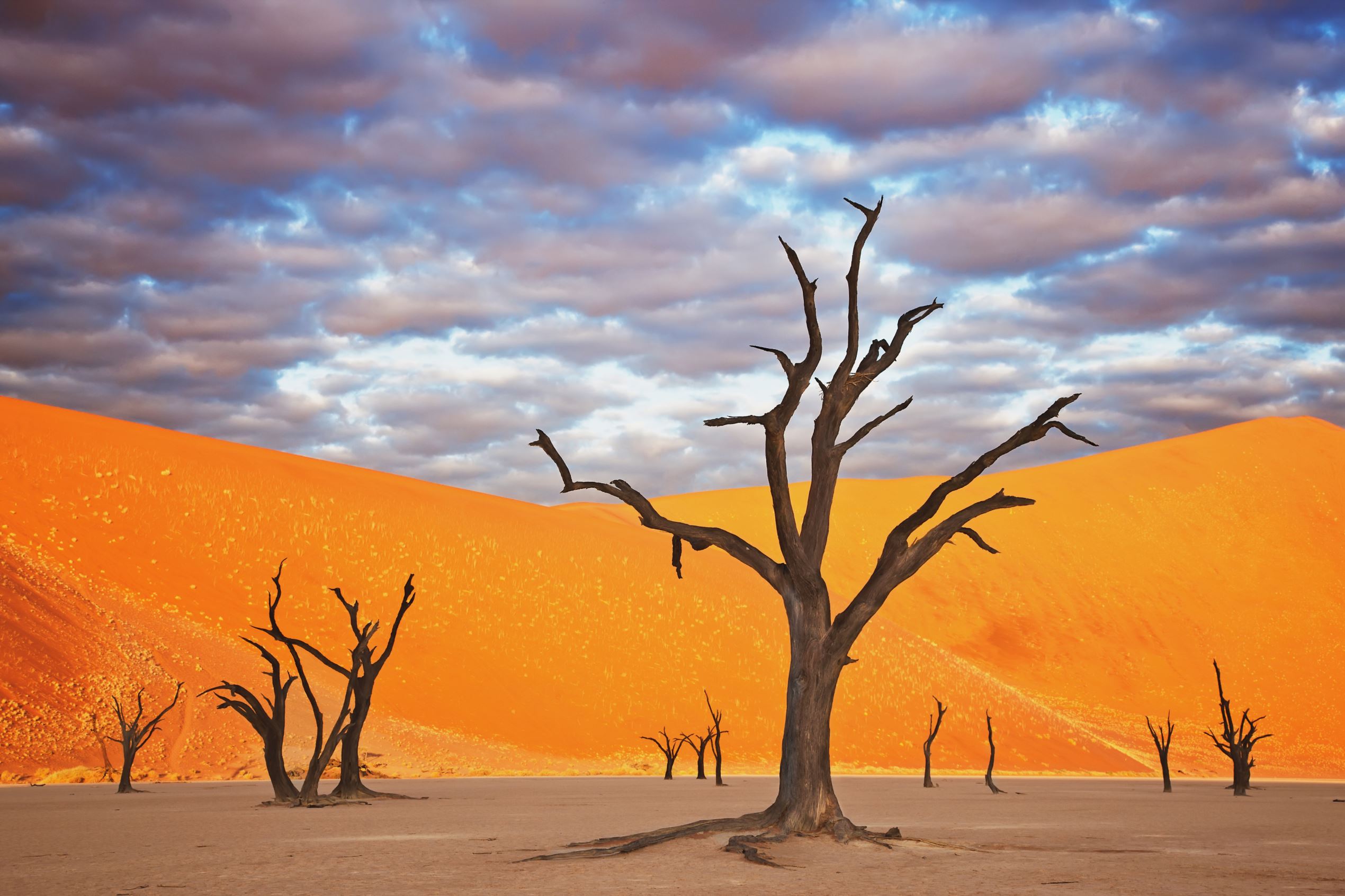 It's bizarre! These places look