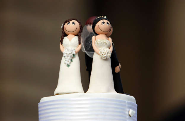 Two bride figurines adorn the top of a wedding cake during an illegal same-sex wedding ceremony in central Melbourne, August 1, 2009.