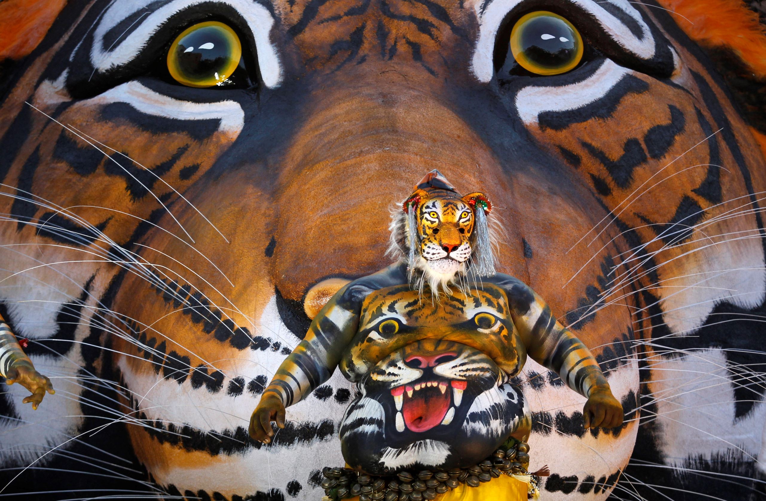 An Indian artist with his body painted with the likeness of a tiger dances before a tableau with a picture of tiger during the 'Pulikali' or Tiger Dance procession in Thrissur, Kerala state, India, Monday, Aug. 31, 2015. This folk art festival is held every year in this town to entertain people during the harvest festival �Onam�. (AP Photo/Arun Sankar K.)