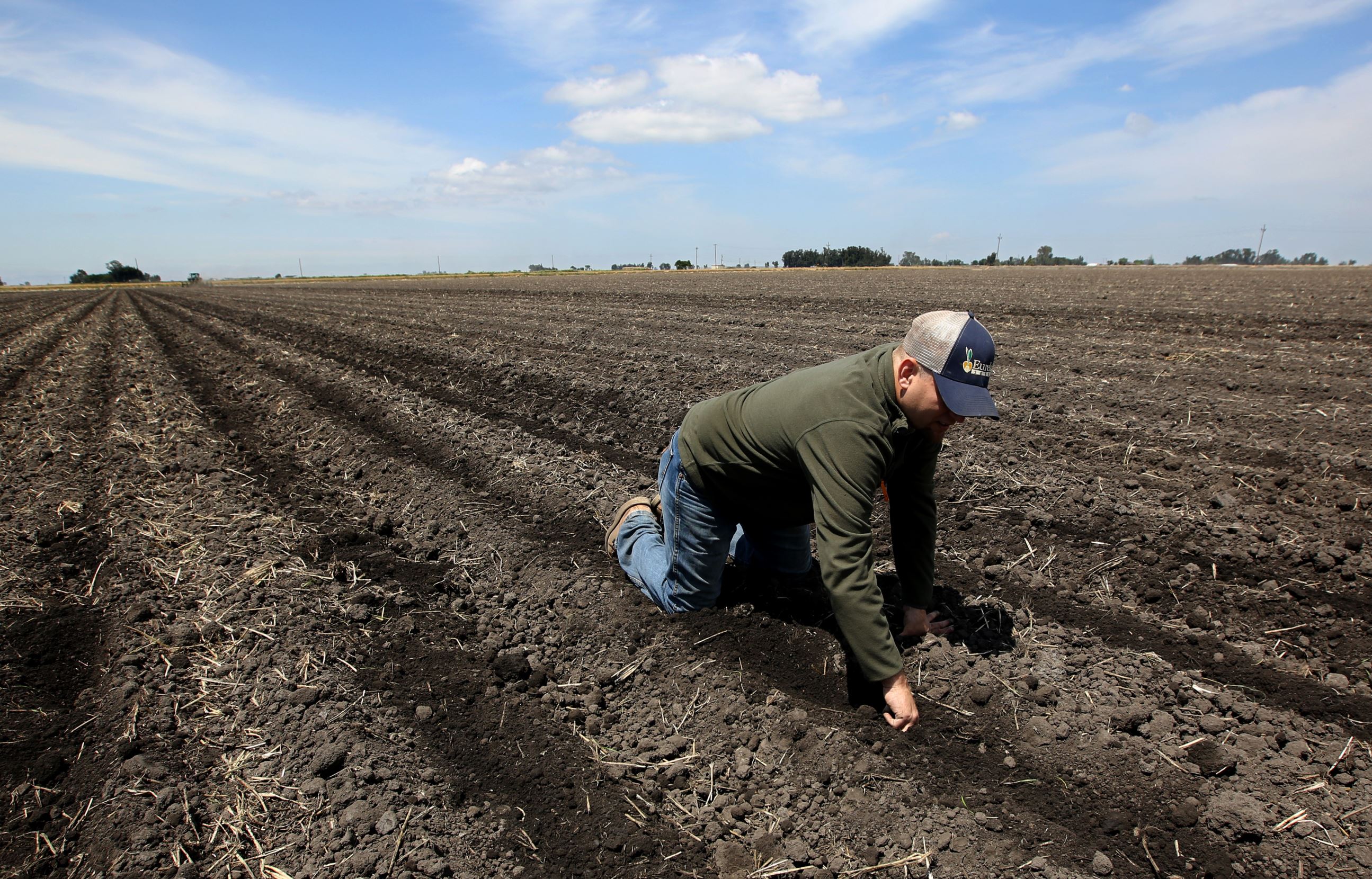 In this May 18 file photo, Gino Celli checks the moisture of land just planted with corn seed he farms near Stockton, Calif.