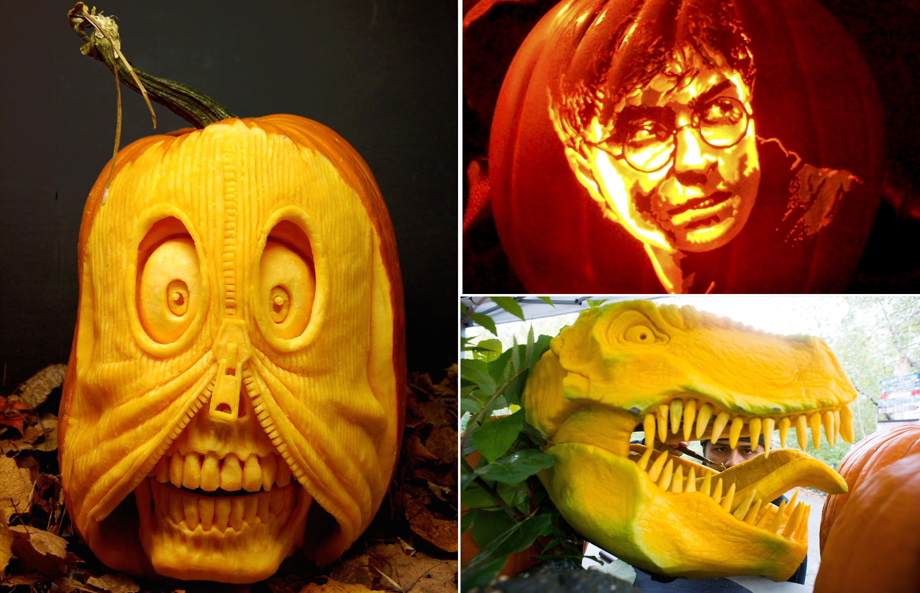 Slide 1 of 39: fhfgh