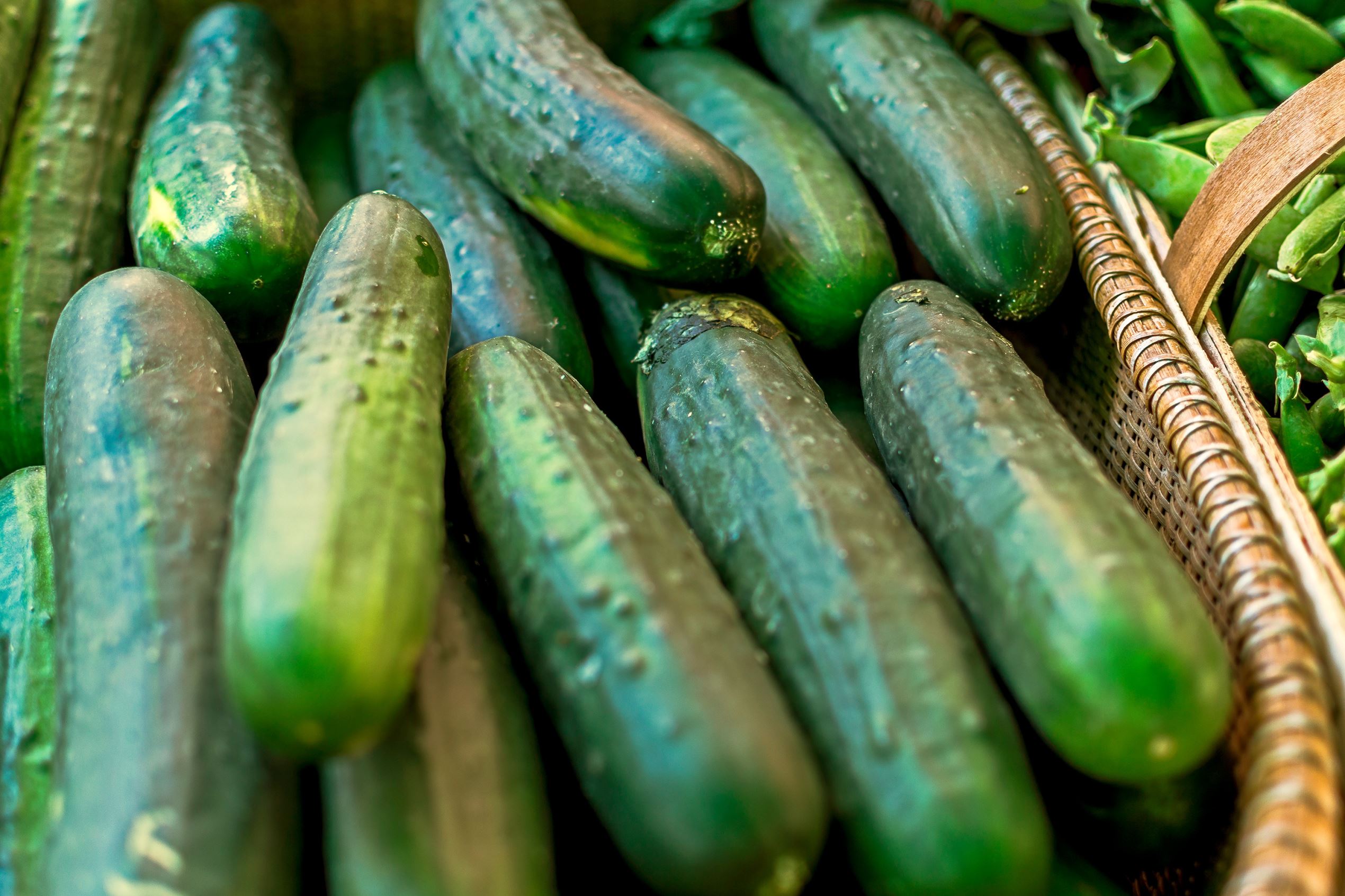 Foods with almost calories, nutrients