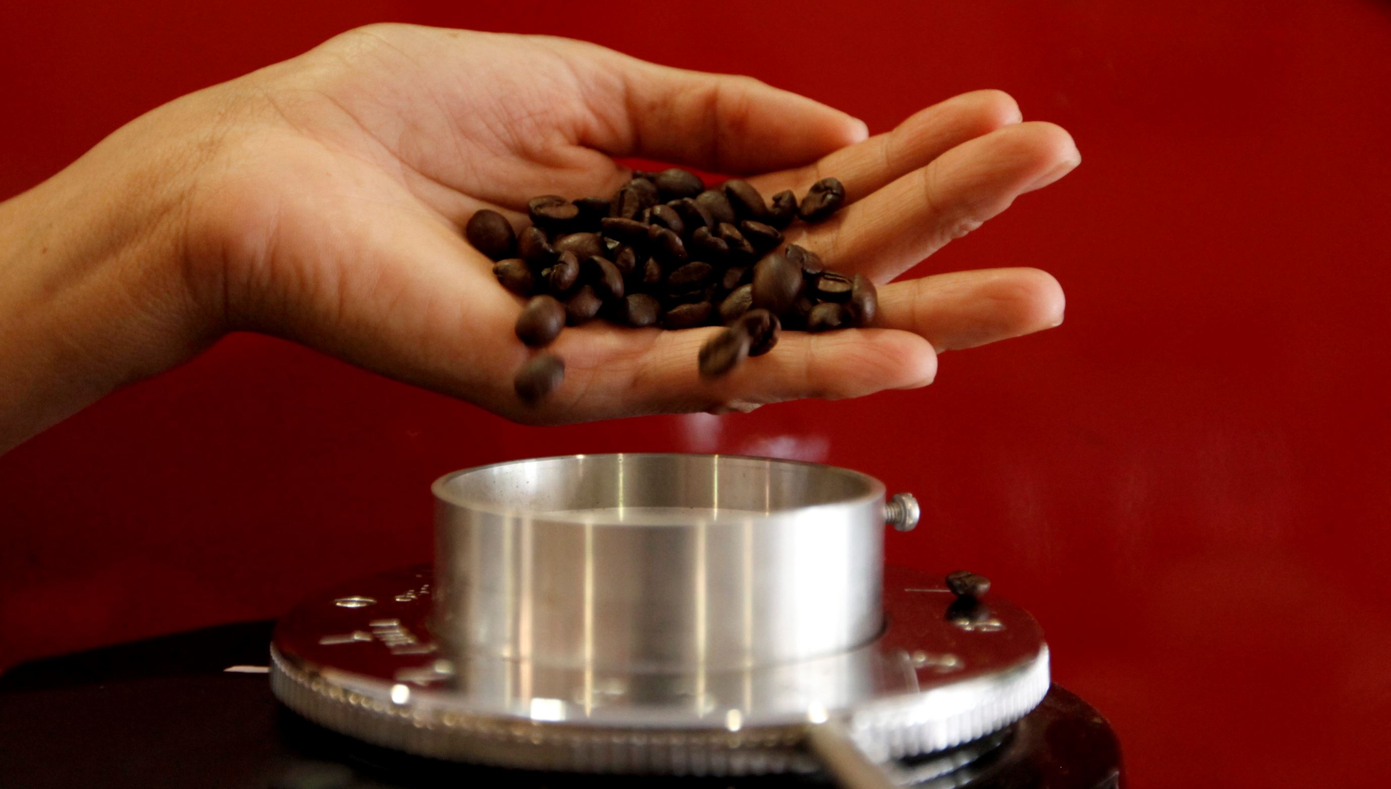 A waitress pours coffee beans into a grinder before she prepares an expresso at a coffee bar in Sao Paulo in this February 8, 2011 file photo. Coffee drinkers in Brazil, America, Eastern Europe and the Middle East are expected to down more arabica beans in their brew in the coming year, reported October 30, 2013, as cheap prices attract additional demand for the higher spec product. A surplus from top grower Brazil after two successive bumper crops helped drag arabica prices to a four-and-a-half-year low this week, which is likely to prompt roasters to increase the use of the bean in their blends. Picture taken February 8, 2011.