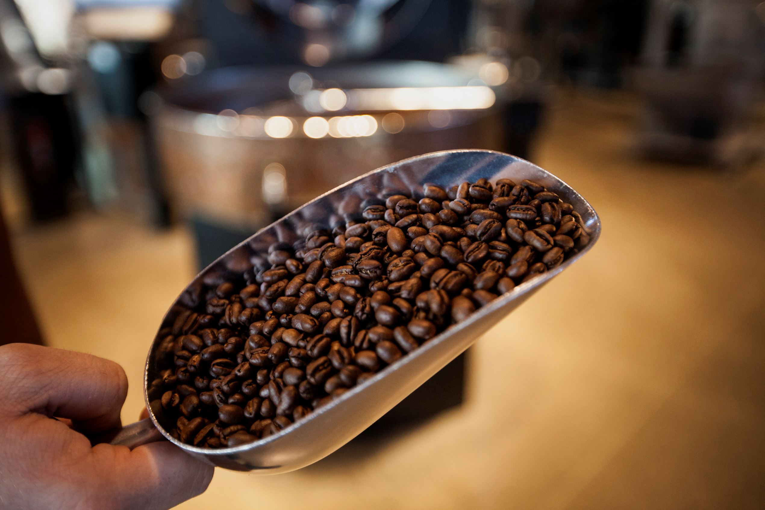 A scoop of roasted peaberry coffee beans from the Lake Toba region of Sumatra are displayed for a photograph at the Starbucks Corp. Reserve Roastery and Tasting Room in Seattle, Washington, U.S., on Wednesday, Dec. 3, 2014. The store is a 15,000-square-foot facility that combines a cafe with a coffee bean roastery as the chain boosts production of its Reserve line of premium coffee.