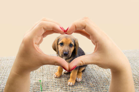 Intro slide - iStock/Getty Images