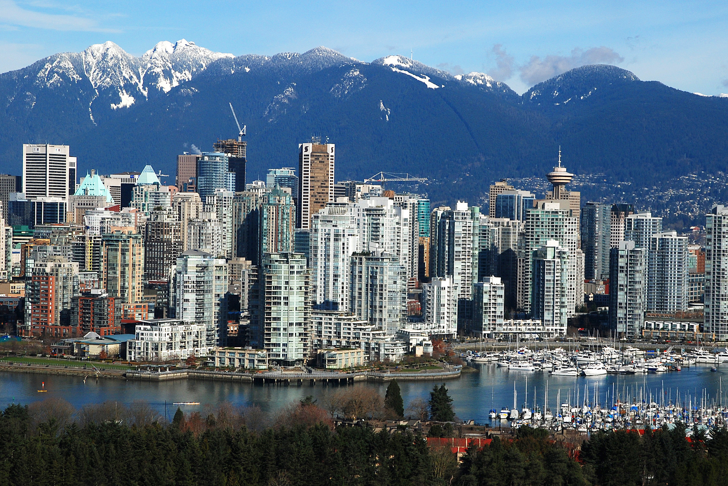 After transfer power B.C., business