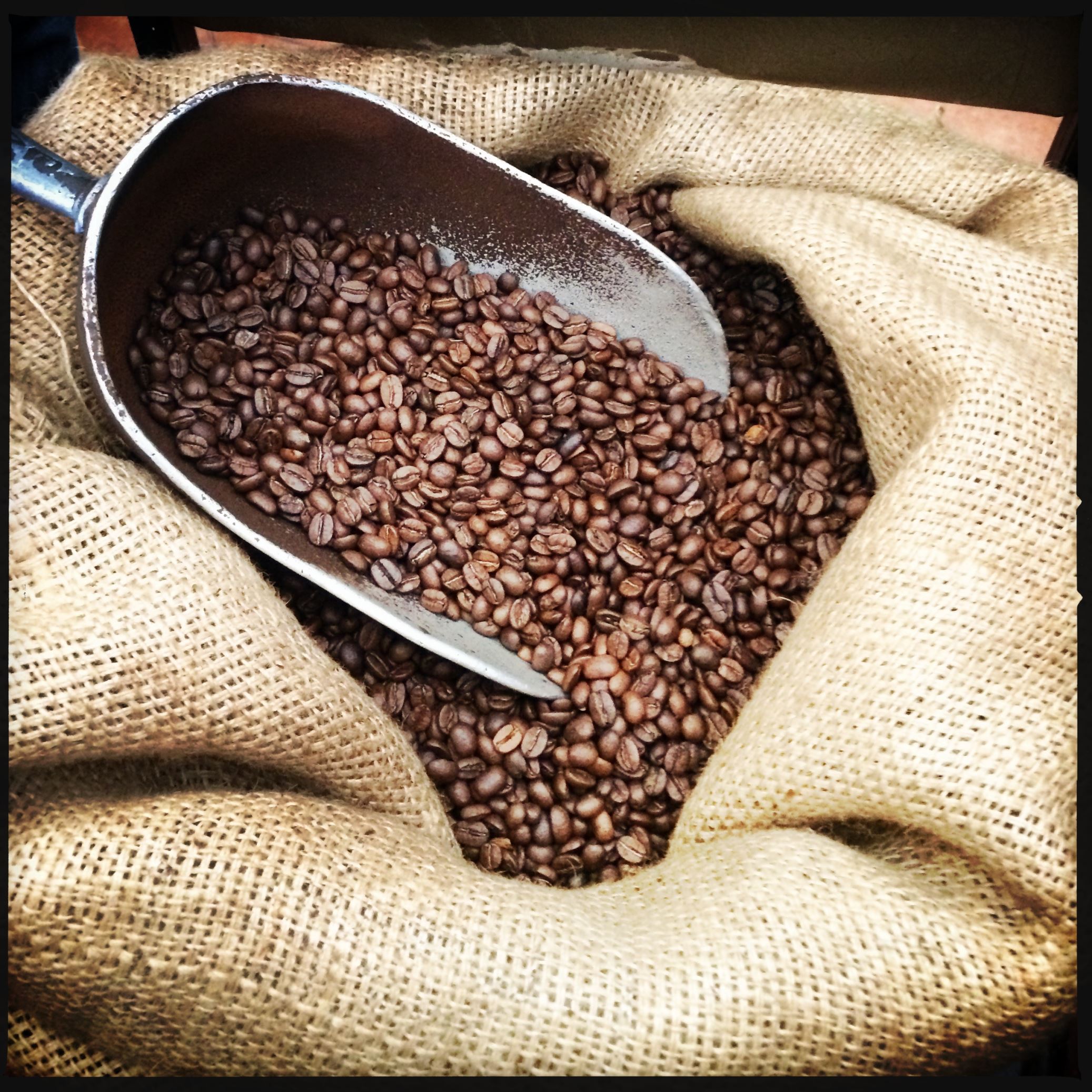 Coffee cancer-safe, declare experts