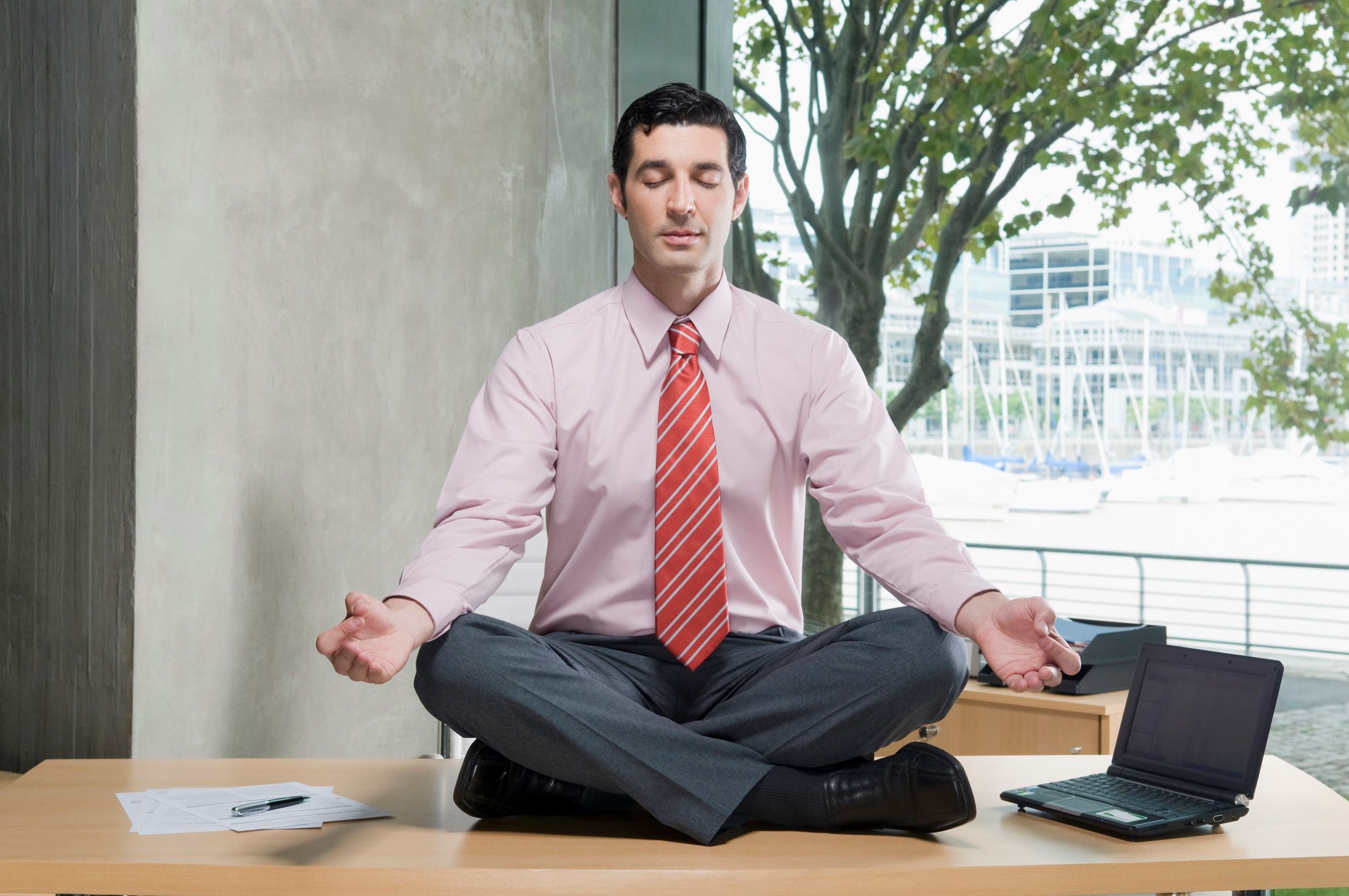 Easy yoga asanas your ******