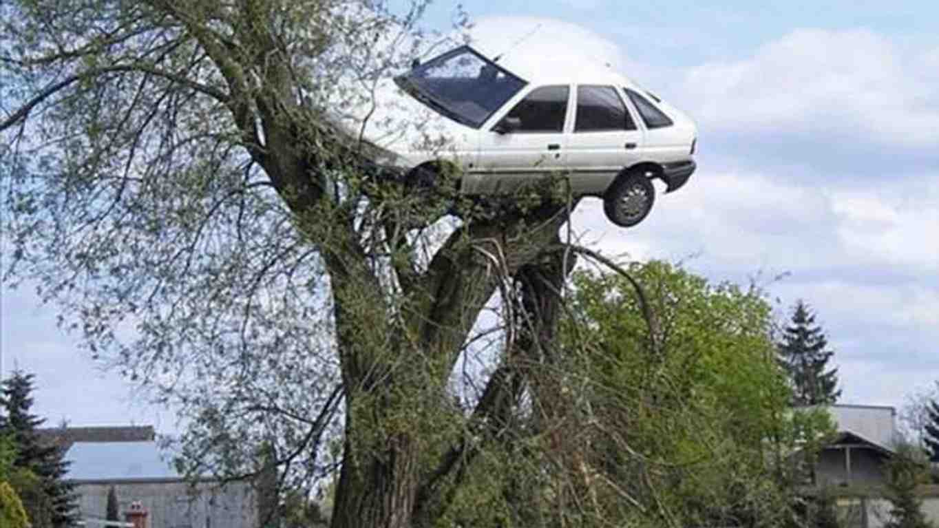 world's worst drivers