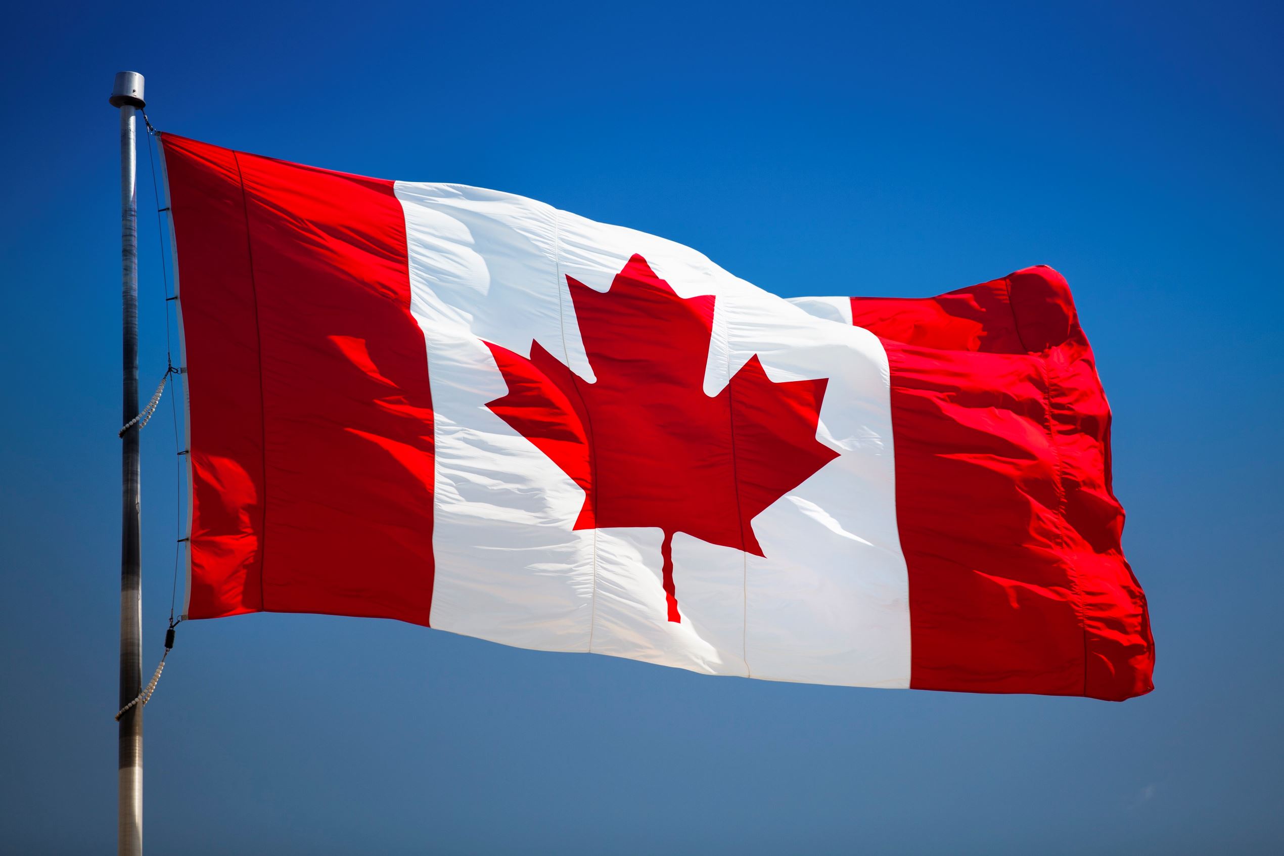 minimum wage will hurt Canada's